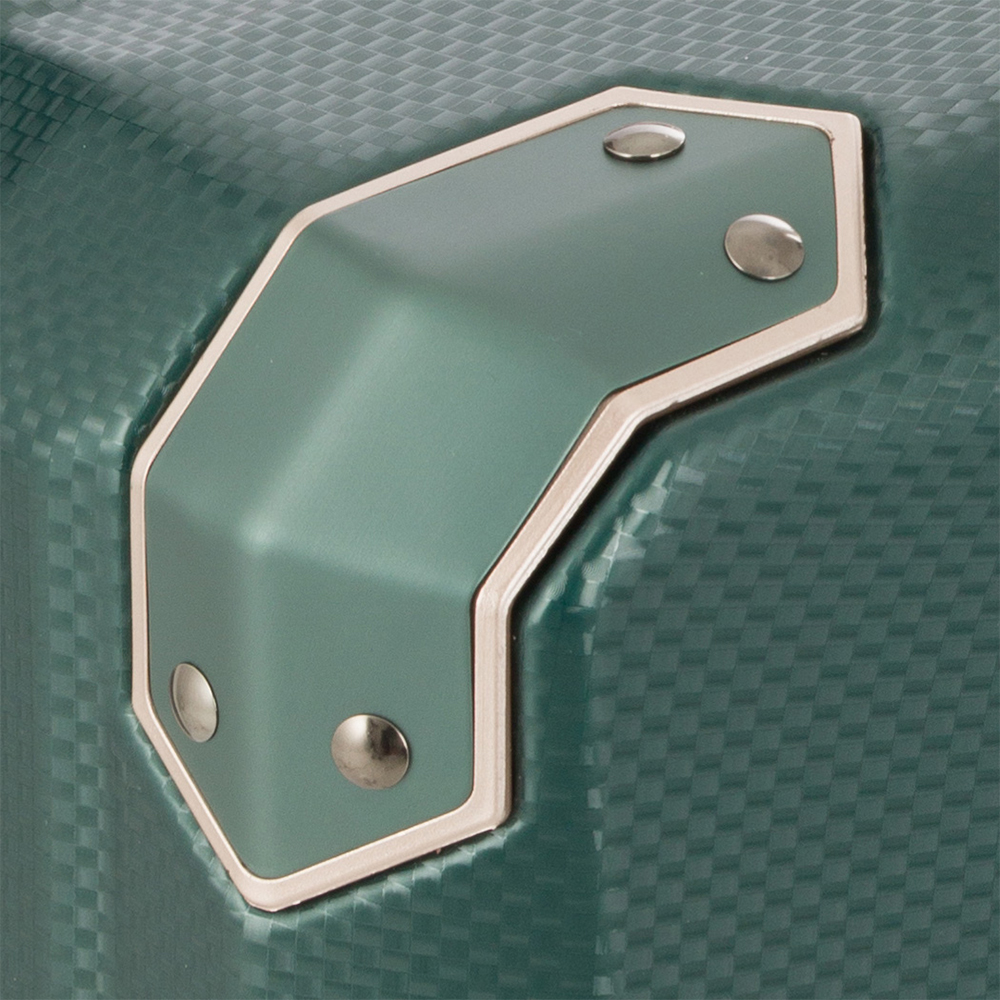 Suitcase Image