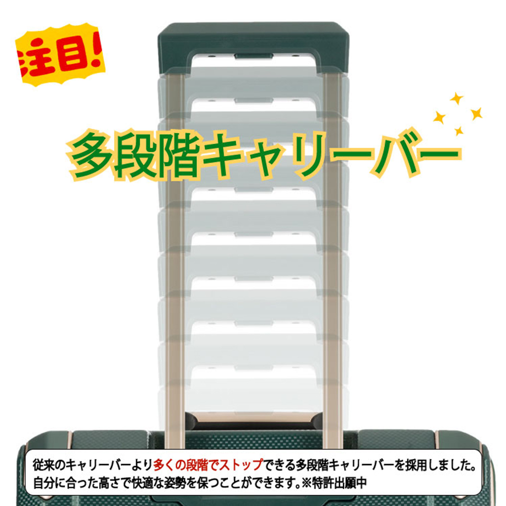 Suitcase Image