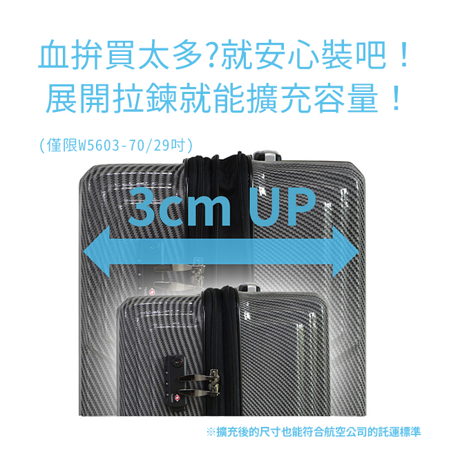 Suitcase Image