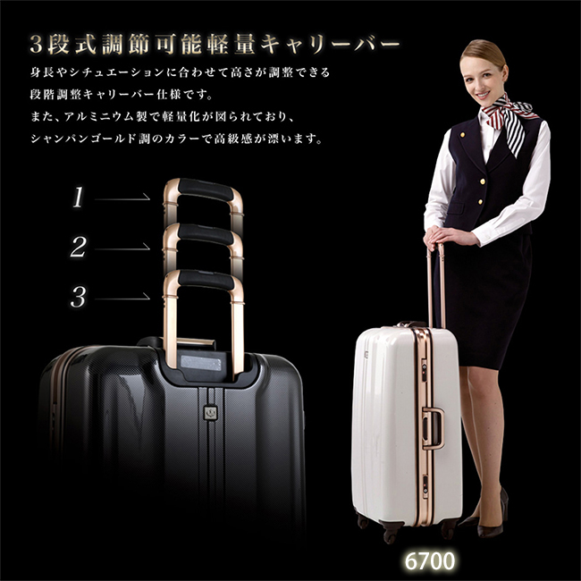 Suitcase Image